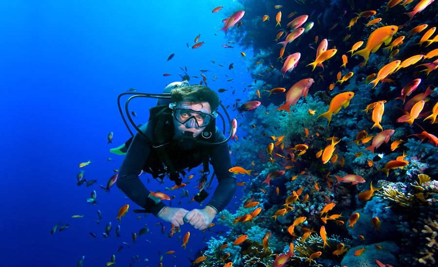 Buceo en paraty brasil