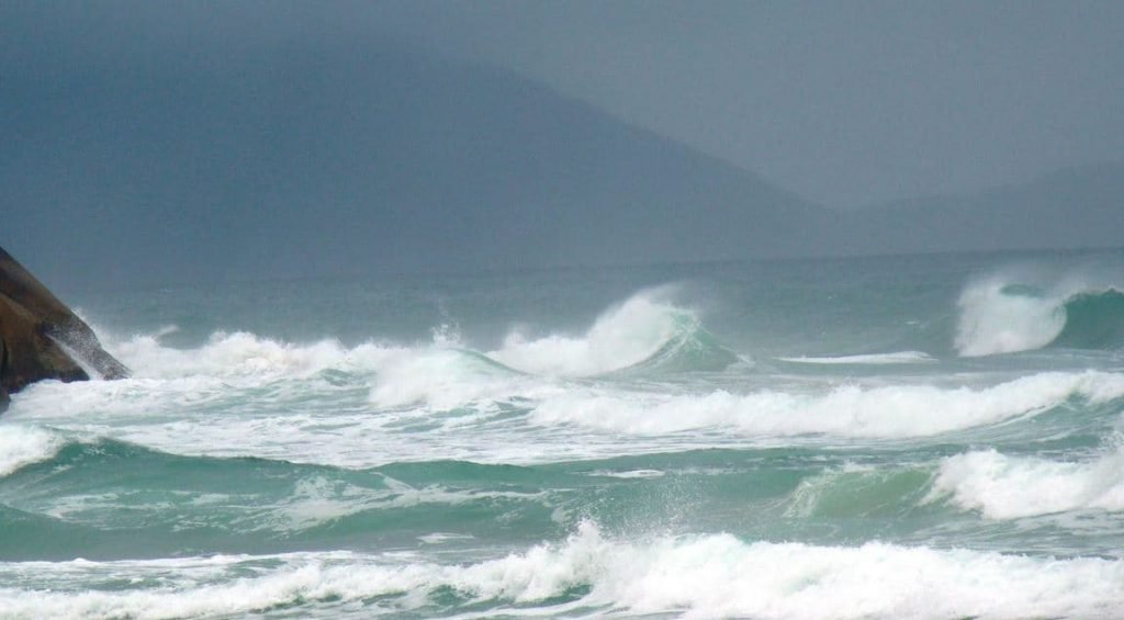 Que hacer en Praia Brava Florianópolis Brasil
