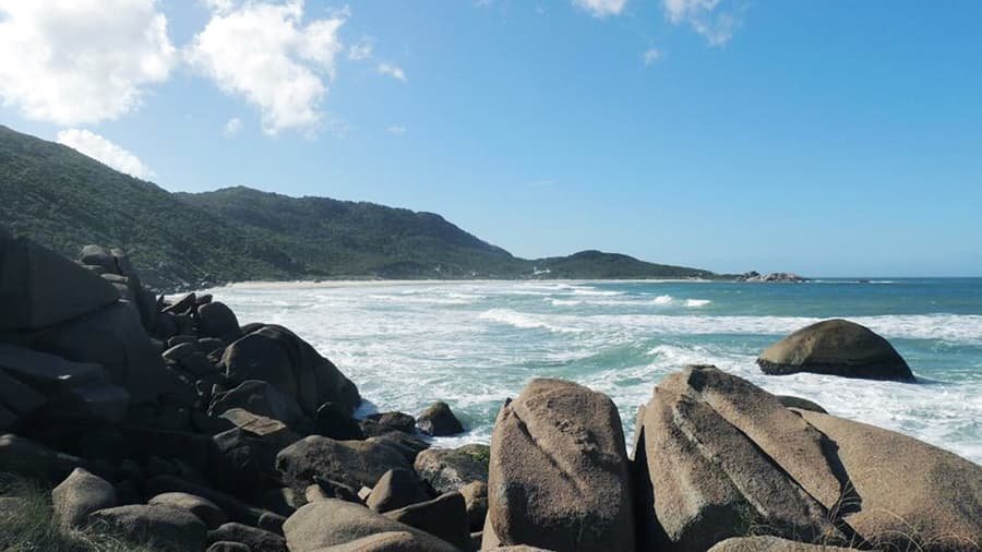 praia mole, que hacer en praia mole, florianopolis