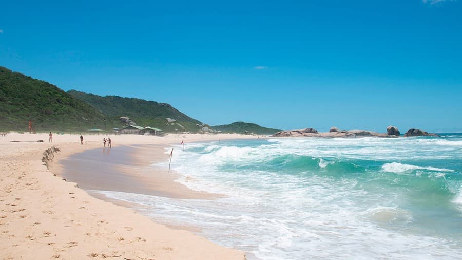 praia mole, que hacer en praia mole, florianopolis
